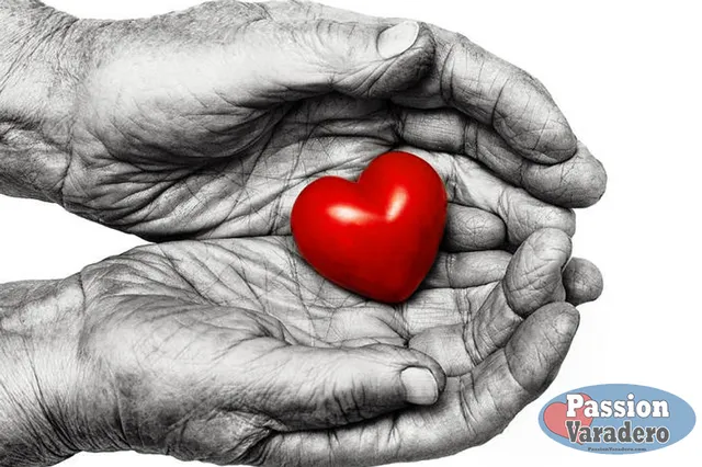 19ed99 1fe2c1562748474d8414118341700bf6 mv2