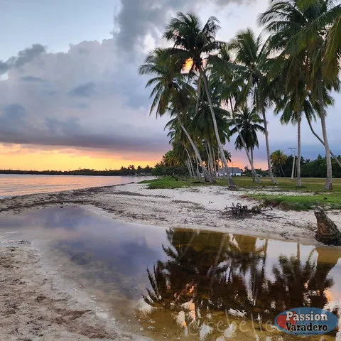 19ed99 34f310bbdbb843f3979ff6894f0814f6 mv2