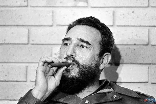 19ed99-4dc948a1738043c9b856121b81b05511-mv2