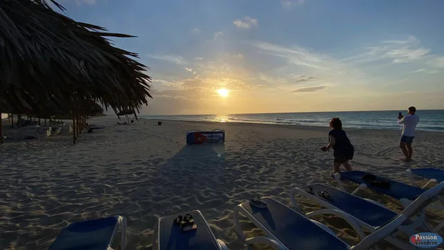 19ed99-ae2e629f04664621a421ce74f2d547af-mv2