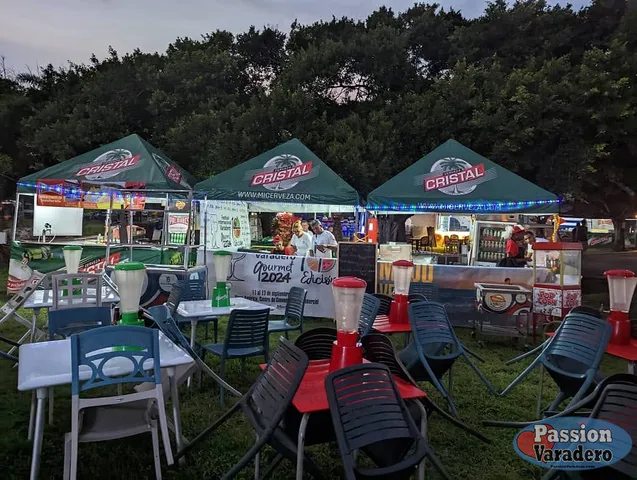 19ed99-ff37a7dd66fe41ec85313c088003d468-mv2