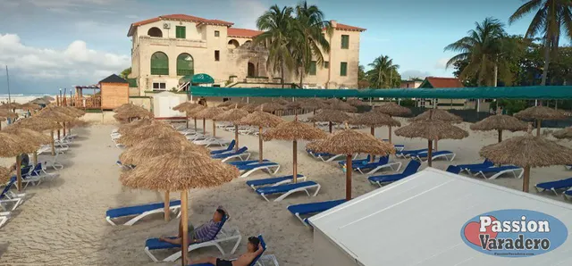 56334b-4463f1052dd0494d81fb1d452519fc31-mv2