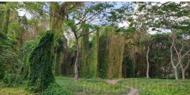 56334b-e95eeed1e7164fd2afbc4c3593b06c8c-mv2