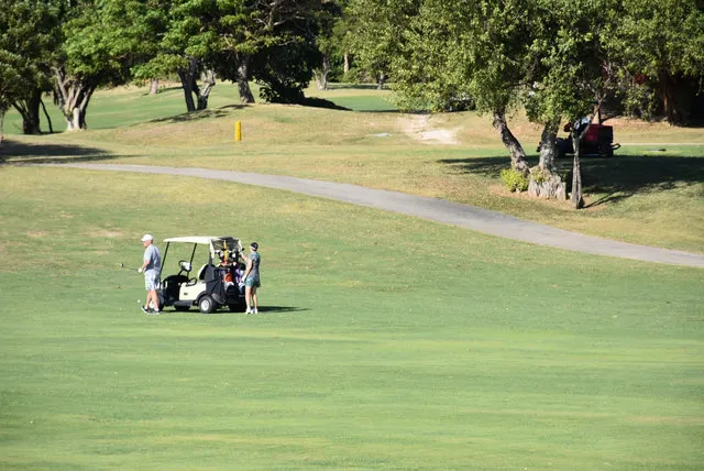 7ca53f-b92d31ef3b8546a6bfec539a417b1641-mv2-d-1870-1250-s-2