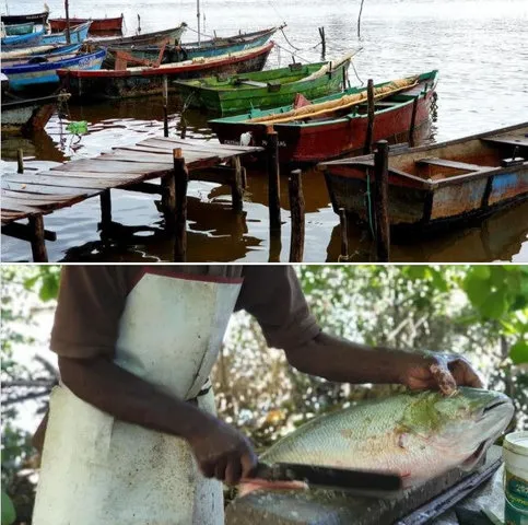 a27d24-366a663c5940441194fe706ea07a08bb-mv2