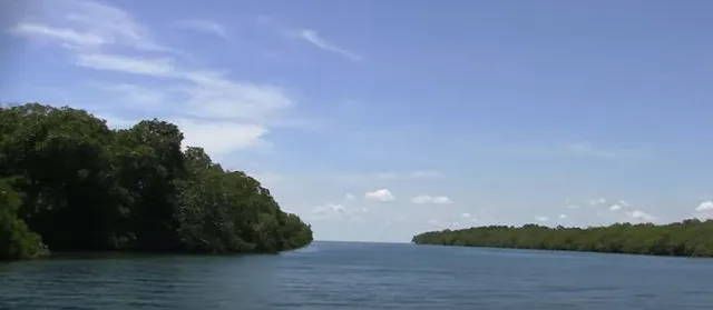 a27d24-4e5e7bc3ebfb4c6db442ff04958fb80b-mv2