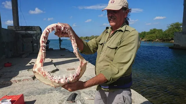 a27d24-7605ba5b3f0140238eeef40885fcceb6-mv2