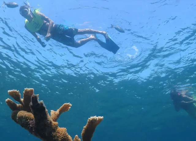 a27d24-981fc9b650114bd6bd7a3d339967b058-mv2