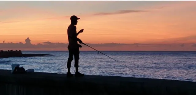 a27d24-e48d5cc350b34c86819c225323e328c0-mv2