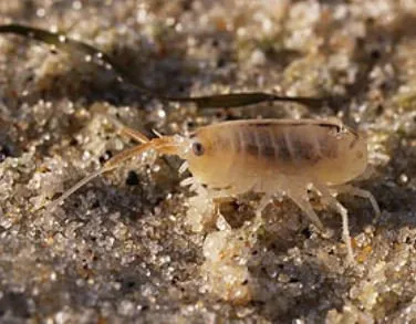 a27d24 fd1c4880c81645bc9809b7df3a02215c mv2