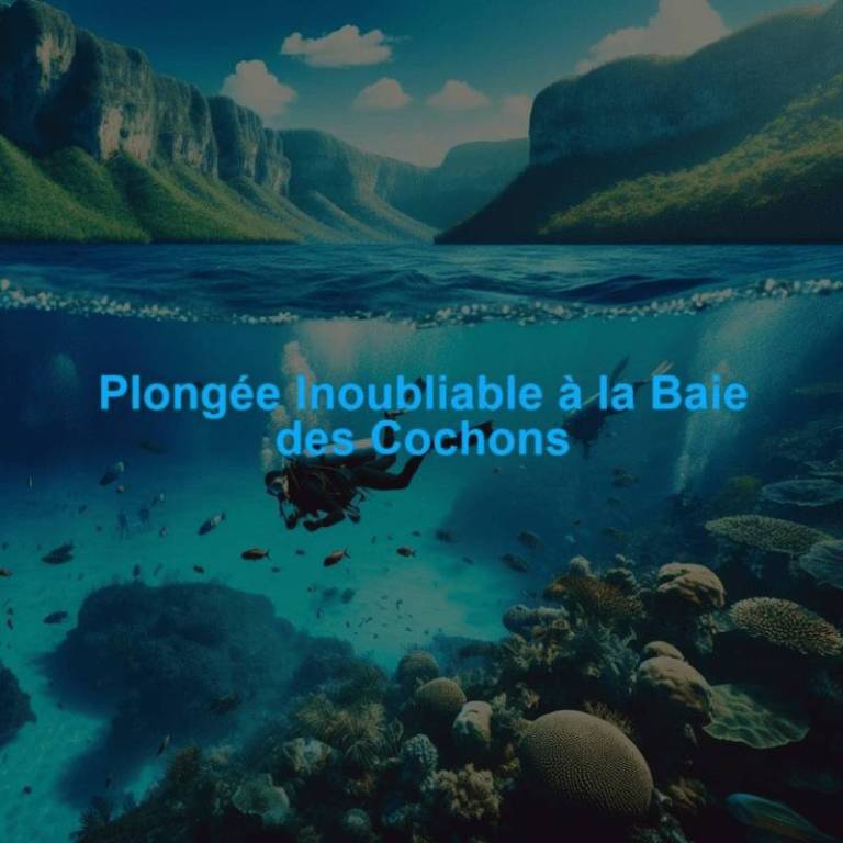 Plongée Inoubliable à la Baie des Cochons