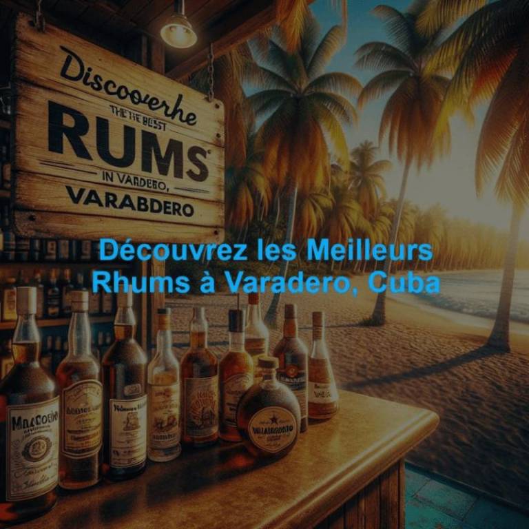 Découvrez les Meilleurs Rhums à Varadero, Cuba