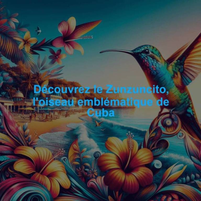 Découvrez le Zunzuncito, l'oiseau emblématique de Cuba
