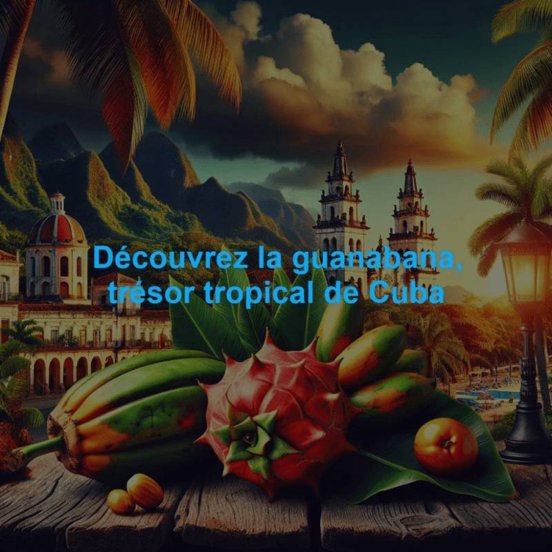 Découvrez la guanabana, trésor tropical de Cuba