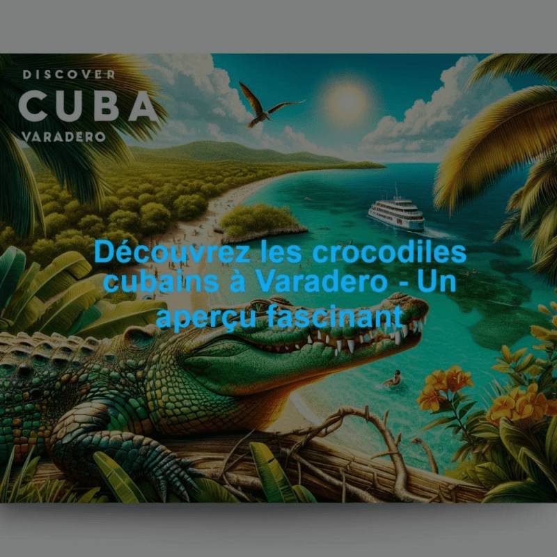 Découvrez les crocodiles cubains à Varadero - Un aperçu fascinant