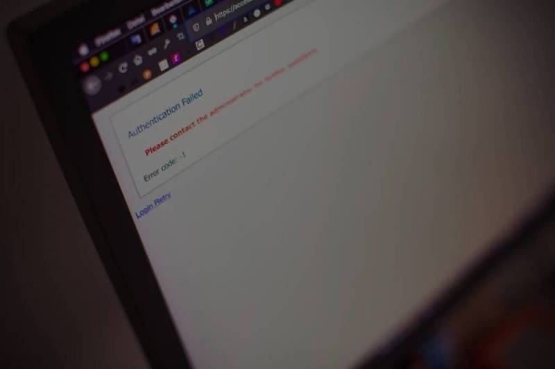 delfinarium varadero spectacles et interactions scaled scaled