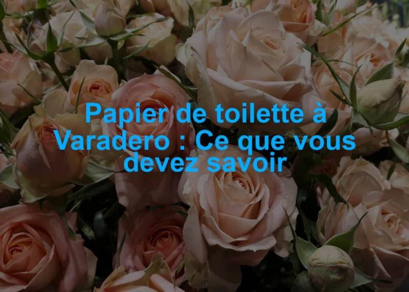 papier de toilette a varadero
