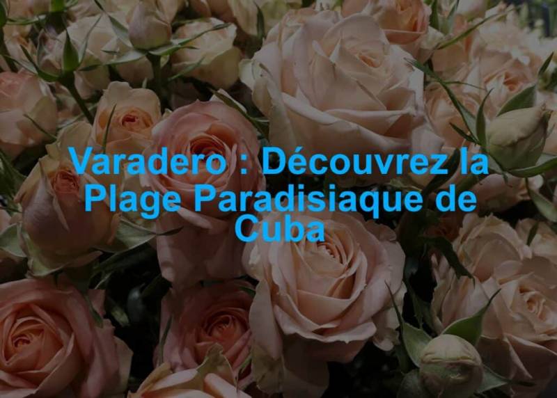 varadero est l une des plus belles plages du monde