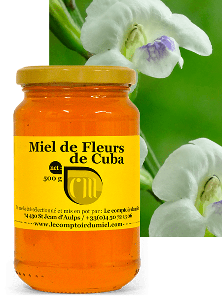 decouvrez le miel de cuba un souvenir inoubliable