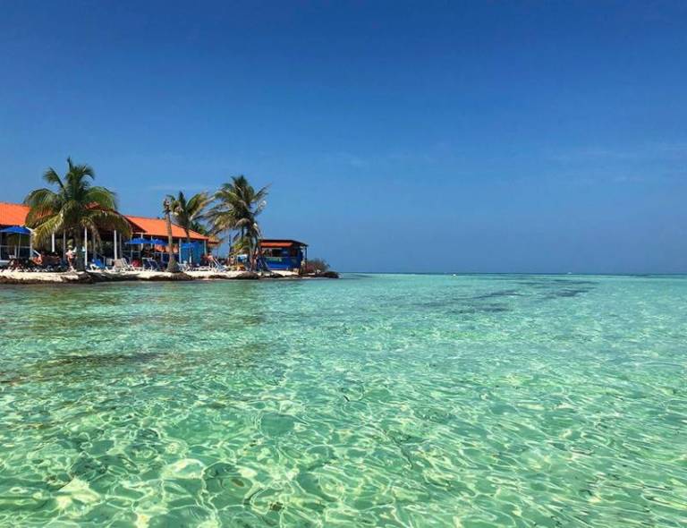 pas de zoo a varadero mais des decouvertes fascinantes