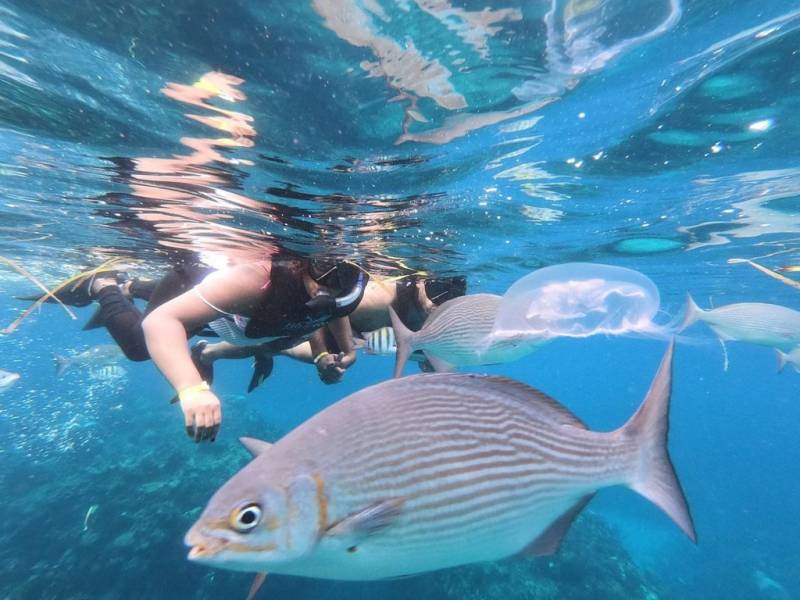 playa coral plongee en apnee et exploration a varadero