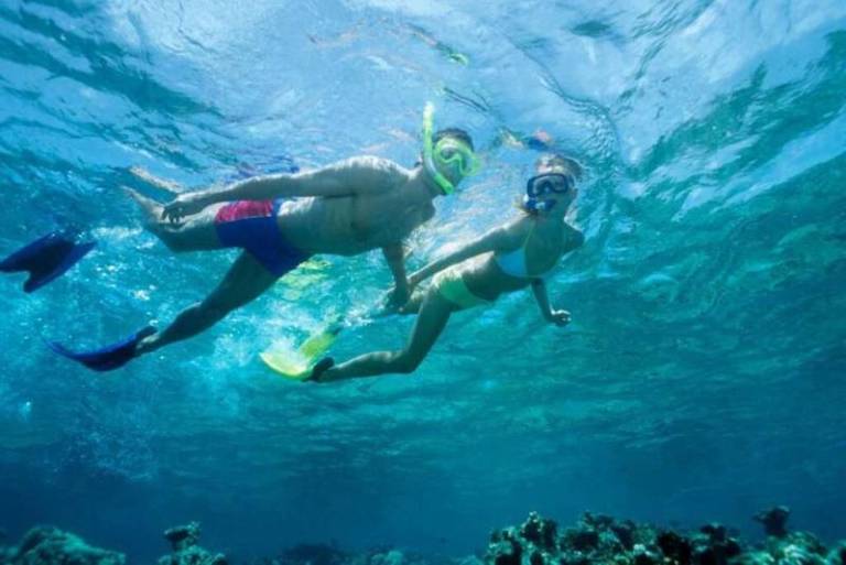 snorkeling in cuba 1024683