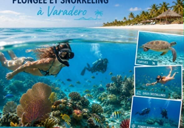 Plongée et snorkeling à Varadero