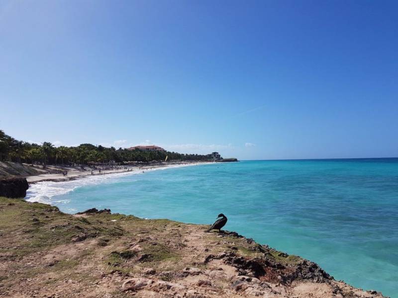 les-meilleures-tables-de-cardenas-a-decouvrir-pres-de-varadero