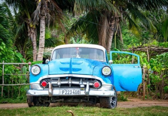 A vibrant blue vintage car parked among palm trees, showcasing classic automotive style.